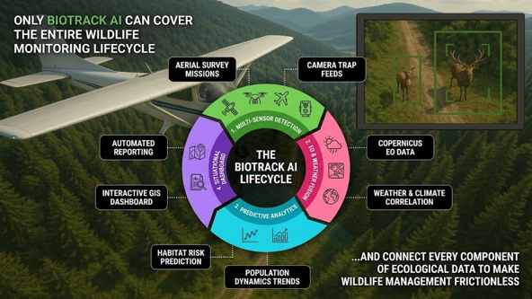 The BioTrack AI Lifecycle — from aerial survey to population dynamics